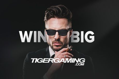 Become the King or Queen of the TigerGaming Winter Knockout Series